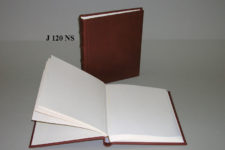 J120NS