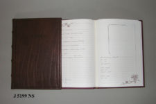 J5199NS